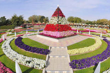 Dubai City Tour