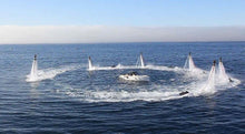 Fly Boarding Dubai