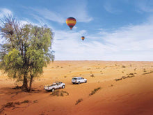 hot air balloon