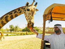al ain tour