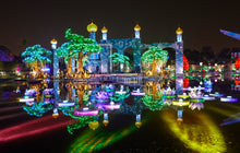 Dubai Glow Garden