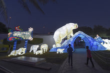 Dubai Glow Garden