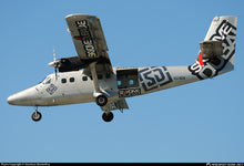 SkyDive Dubai