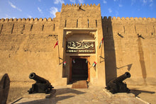 Dubai City Tour and Desert Safari