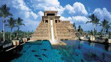 Aquaventure Waterpark - one of the most visited water park in Dubai, the image is of one of the most adventurous rides of the park.