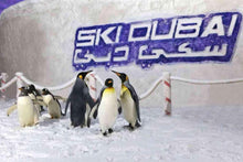 Ski Dubai